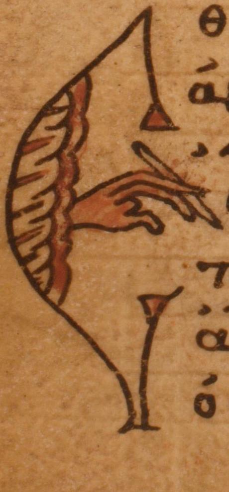 folio 125 verso