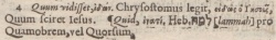 Annotations concerning Matthew 9:4 in the 1598 Greek / Latin New Testament of Theodore Beza
