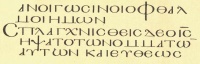 Codex Dublinensis