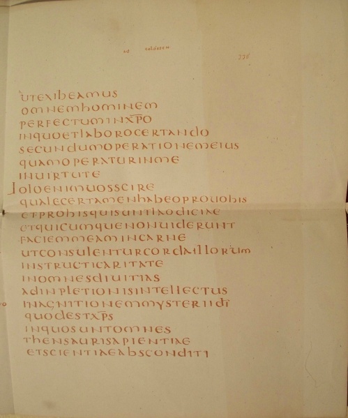 Image:Codex claromontanus 2 latin.jpg