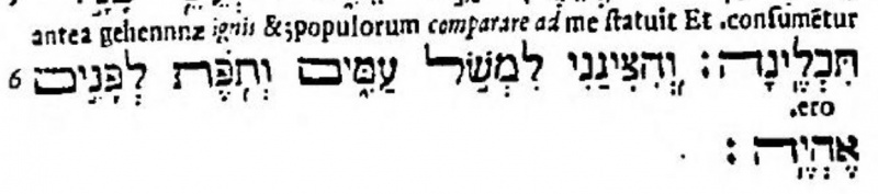 Image:Job 17.6 Waltons Polyglot Hebrew-Latin 1657.JPG