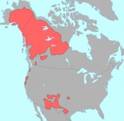 Pre-contact distribution of Na-Dené languages