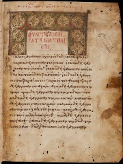 Basiliensis A. N. IV. 1