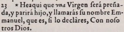 Matthew 1:23 in the 1569 Spanish Bear Bible