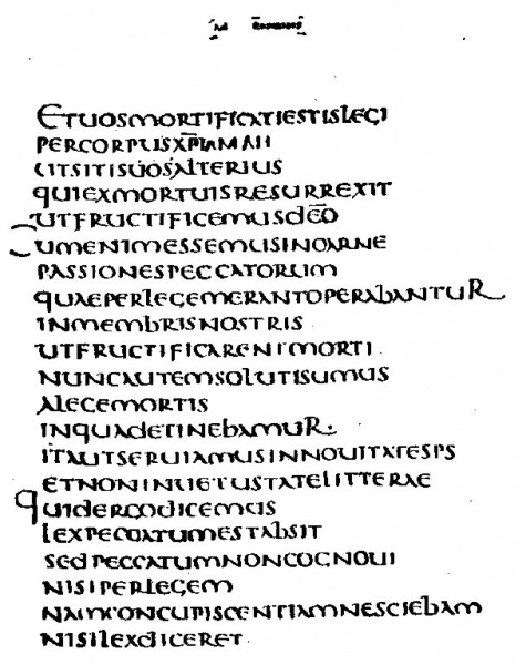 Image:Codex claromontanus latin.jpg