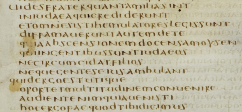 Image:Acts 21.21 Codex Bezae Latin.JPG