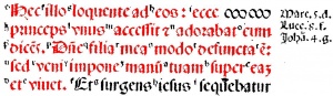 Matthew 9:18 in Latin in the 1514 Complutensian Polyglot