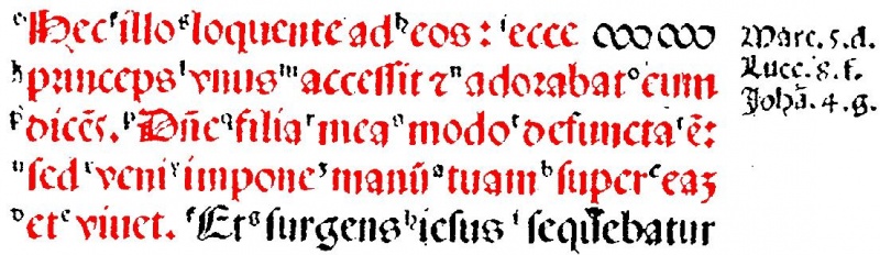 Image:Matthew 9 18 Complutensian Polyglot Latin.JPG