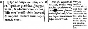 Matthew 9:18 in Latin in the 1598 New Testament of Theodore Beza
