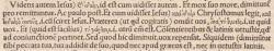 Annotations concerning Matthew 9:4 in the 1516 Greek and Latin New Testament of Erasmus