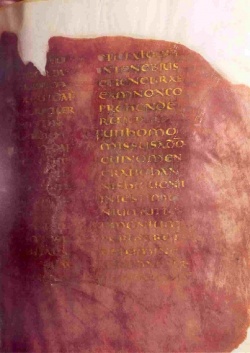 Codex Veronensis