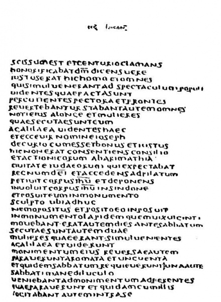 Image:Codex bezae latin.jpg