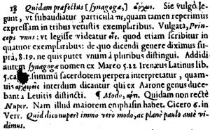Matthew 9:18 Footnote in Latin in the 1598 New Testament of Theodore Beza