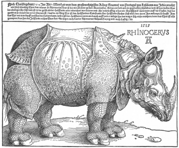 Albrecht Dürer's Rhinoceros woodcut 1515