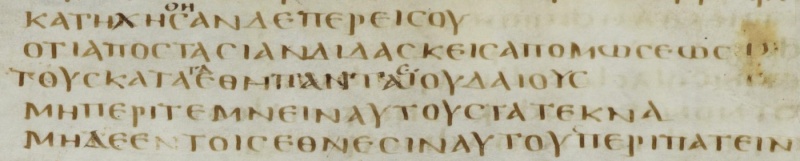 Image:Acts 21.21 Codex Bezae Greek.JPG