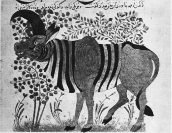 This Persian miniature was discovered in the Pierpont Morgan Library in New York. It is indicative of the earliest descriptions of a rhinoceros. Ctesias called it a wild ass resembling a horse with hoofed feet. Aristotle called it the monoceros and the Greek geographer Strabo called it the rhinoceros.
